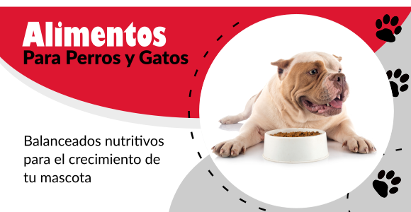 Alimentos para perros y Gatos